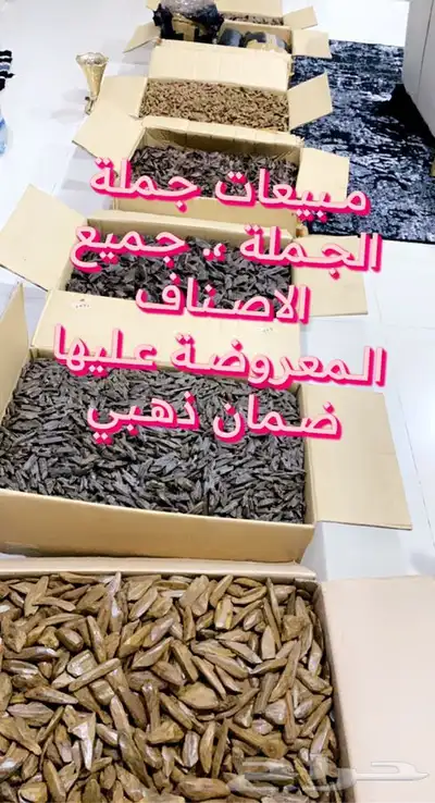 مروكي ند طبيعي 850 ريال index