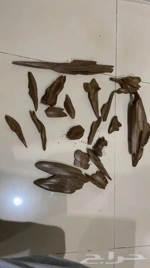 مروكي ند طبيعي 850 ريال 2