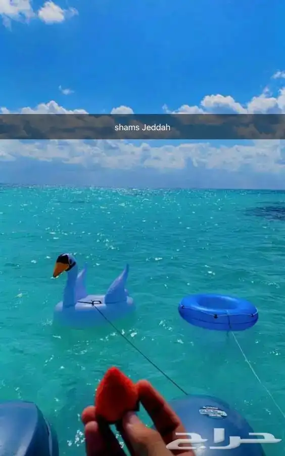 رحلات بحرية ( صيد . سباحة . نزهة ) 42