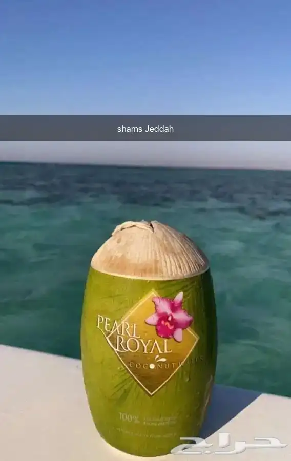 رحلات بحرية ( صيد . سباحة . نزهة ) 52