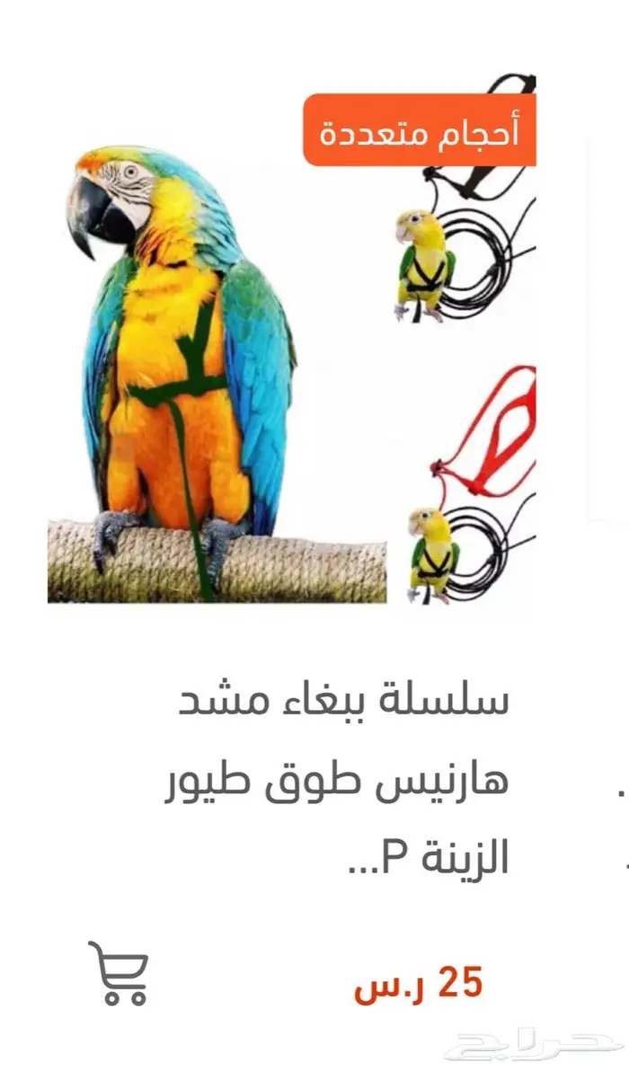 أكل طيور زبريم اعلاف اقفاص كاسكو كوكاتو 9