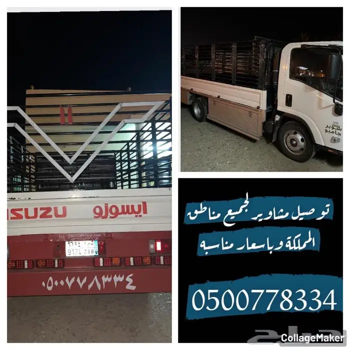 دينا للمشاوير 0