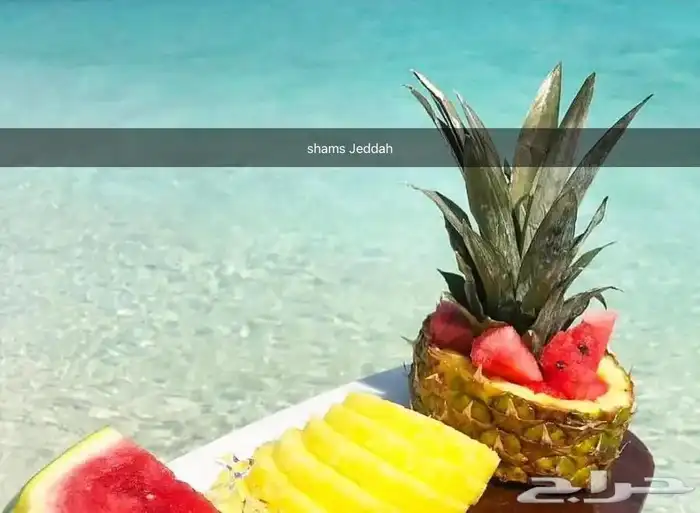 رحلات بحرية ( صيد . سباحة . نزهة ) 25