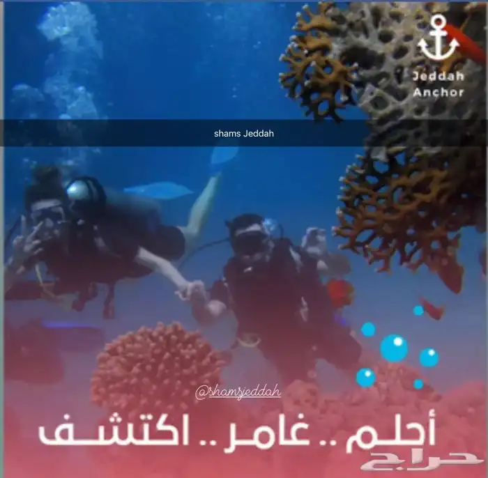 رحلات بحرية ( صيد . سباحة . نزهة ) 12