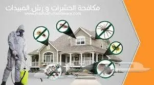 شركة رش حشرات بالمدينة المنورة 0536591696 2