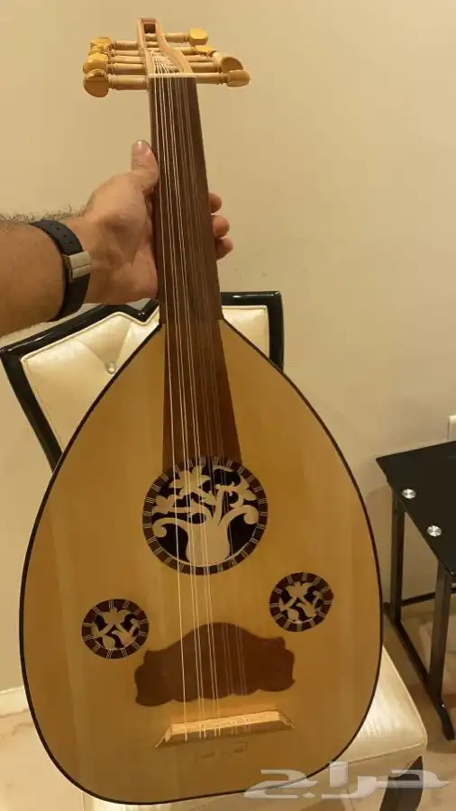 عود مصري 5