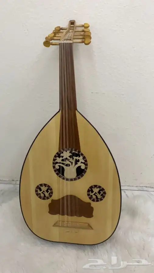 عود مصري 2
