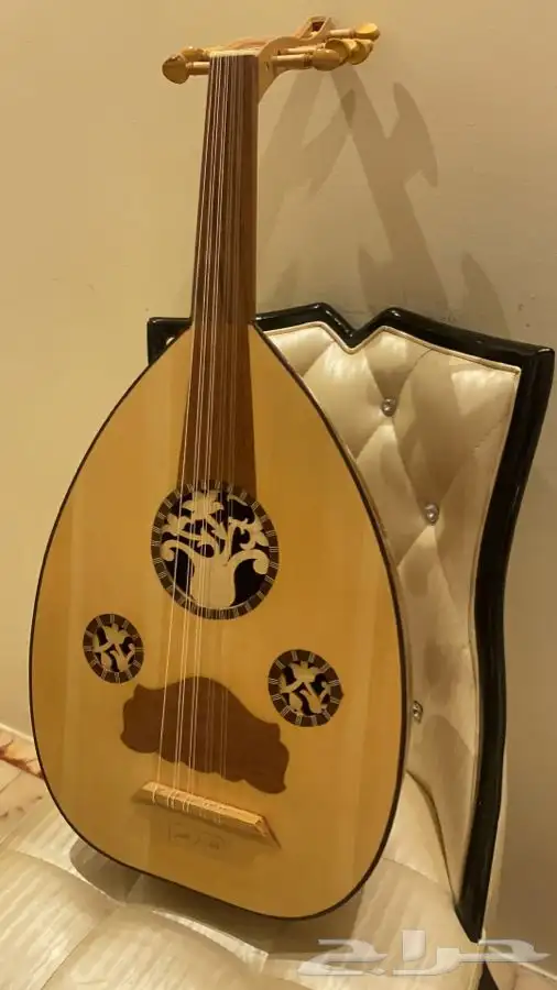 عود مصري 6