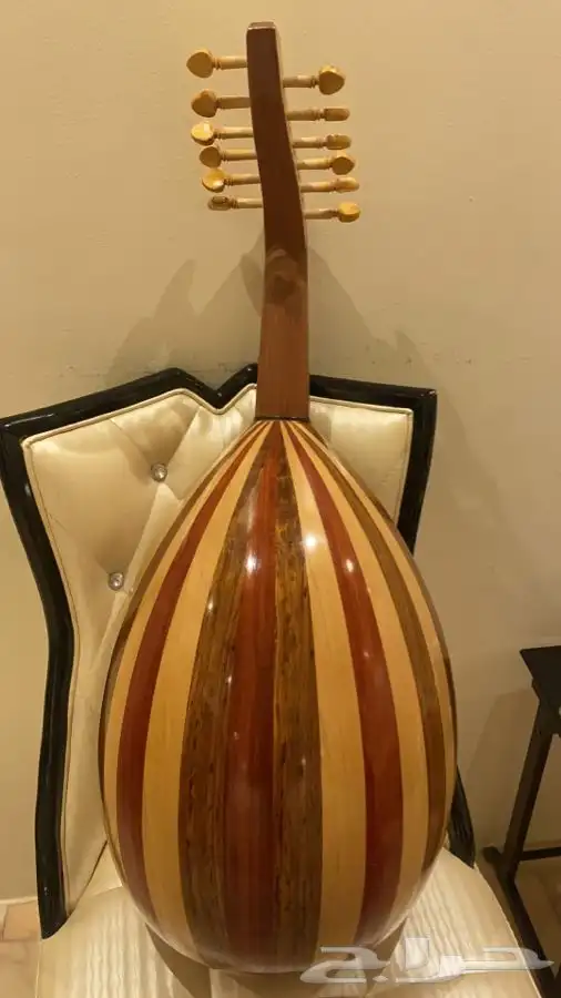 عود مصري 4