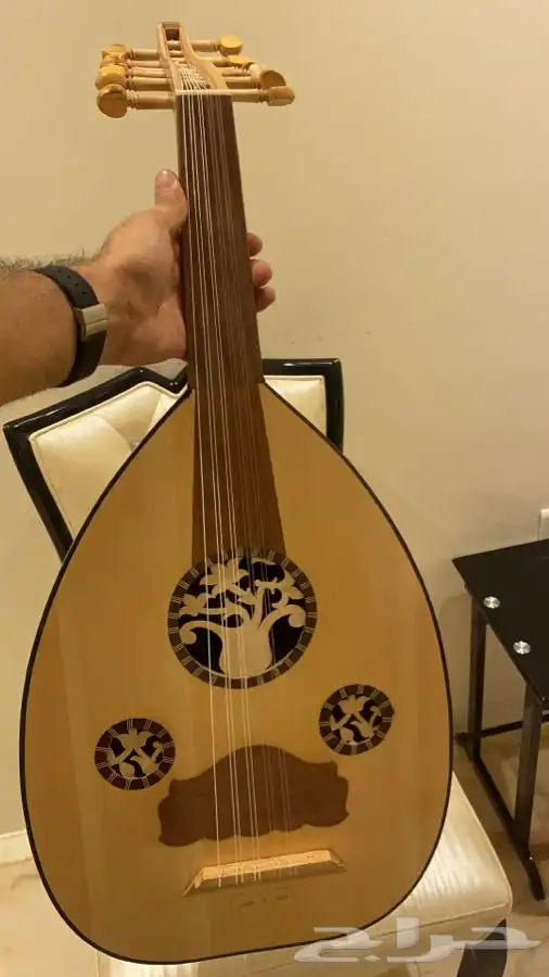 عود مصري 3