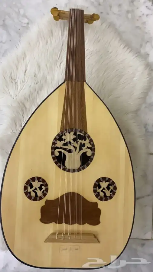 عود مصري 8