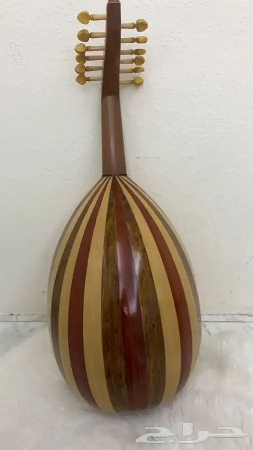 عود مصري 8