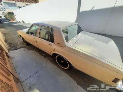 كابرس 85 بطاقه جمركيه مخزن 6