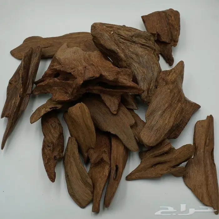 مروكي اصقون فاخر 0