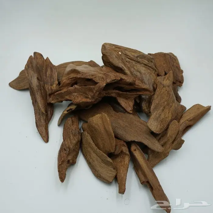 مروكي اصقون فاخر 1