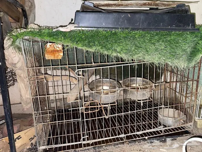 مجموعة أقفاص وأغراض ببغاوات 8