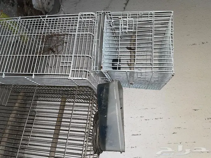 مجموعة أقفاص وأغراض ببغاوات 6
