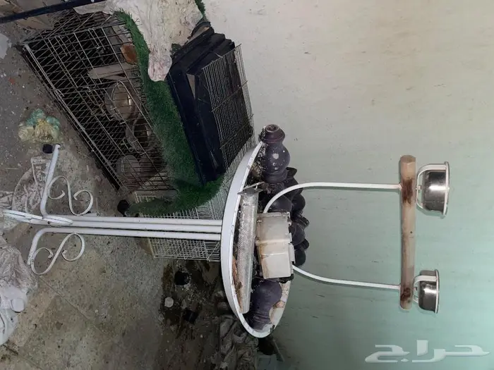 مجموعة أقفاص وأغراض ببغاوات 12
