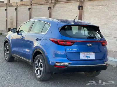 تم البيع 19