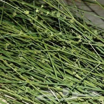 حجر مظبي مرخ حنيذ مناقل غاز توصيل فوري ومجاني 4