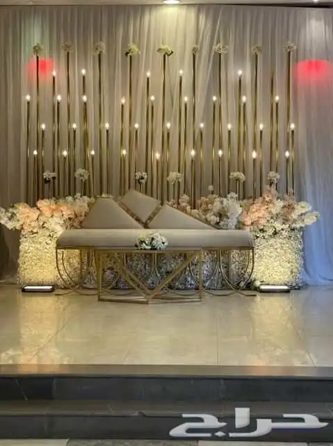 كوش باقل الاسعار 14