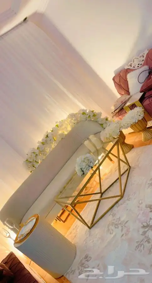 كوش باقل الاسعار 15