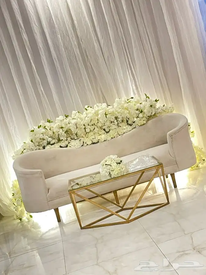 كوش باقل الاسعار 6
