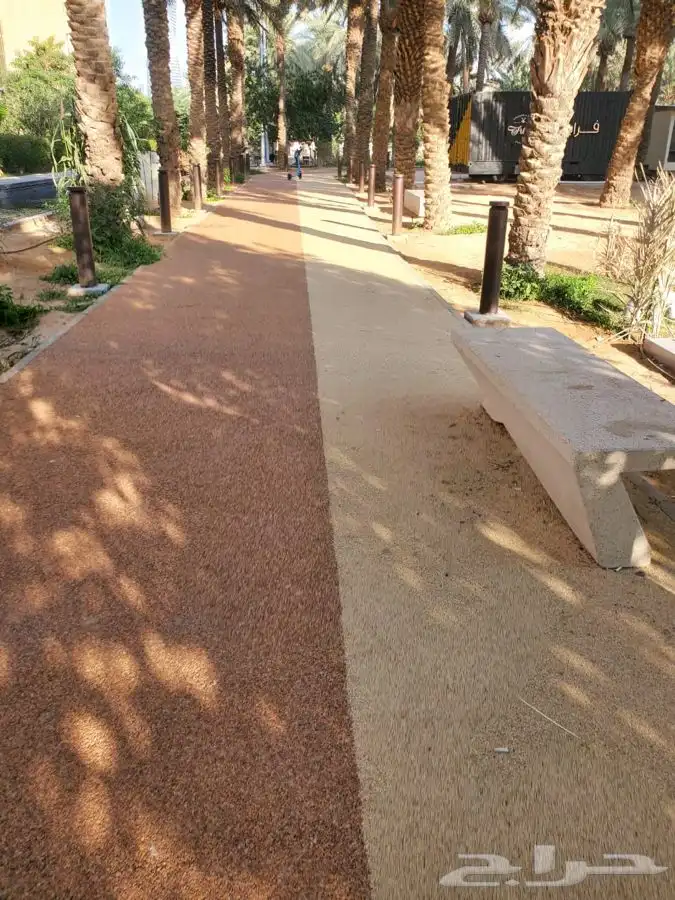 الريزن بوند 6