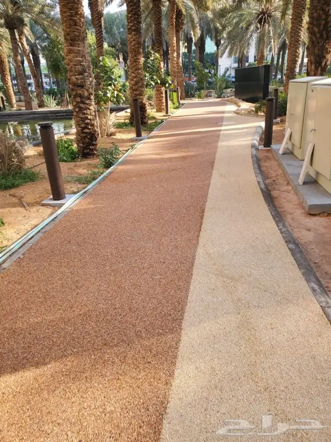 الريزن بوند 2