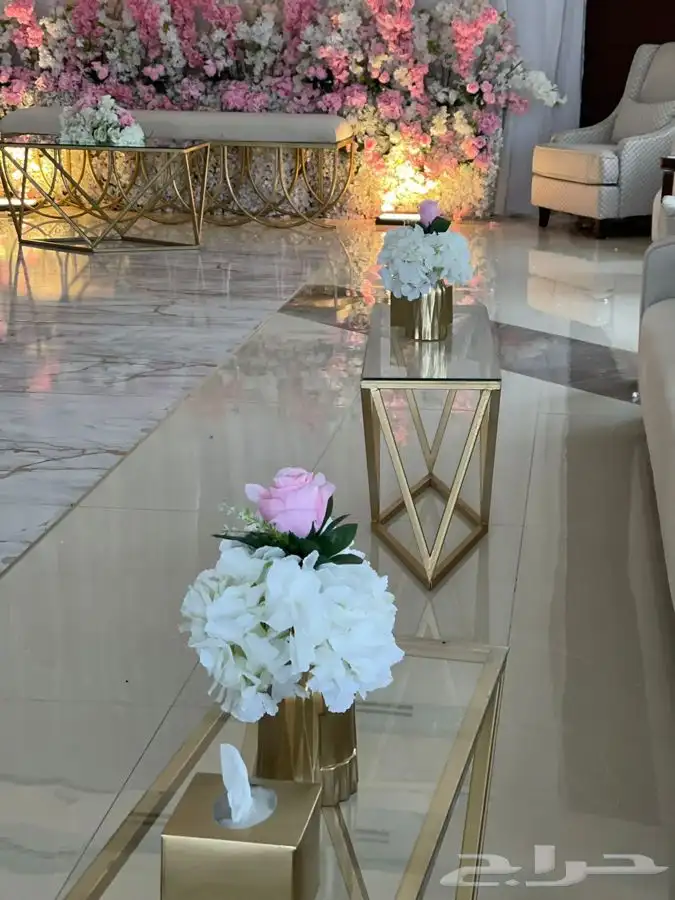 كوش باقل الاسعار 11