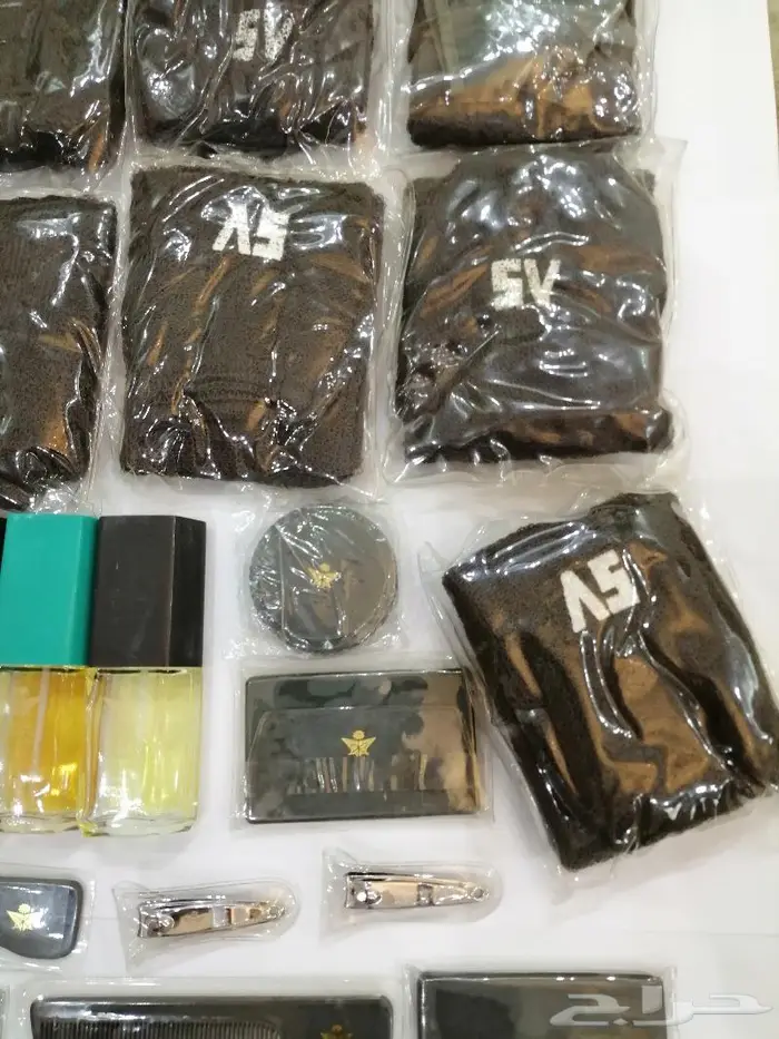 الخطوط السعوديه القديمه 1