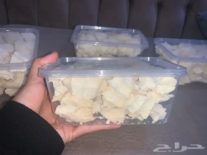 بقل بقر 1
