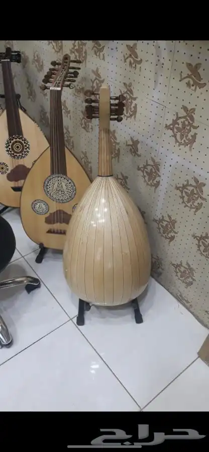 عود غيتار ناي موراس 7