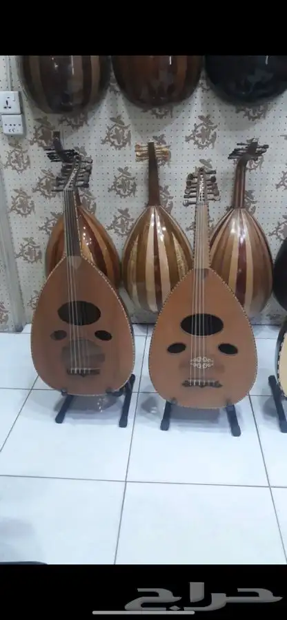 عود غيتار ناي موراس 12