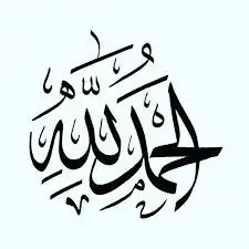 كداد من العلا الى المدينه المنوره 0