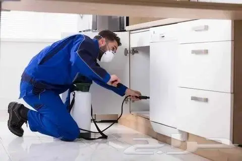 شركة مكافحة البق بالمدينة المنورة 0536591696 10