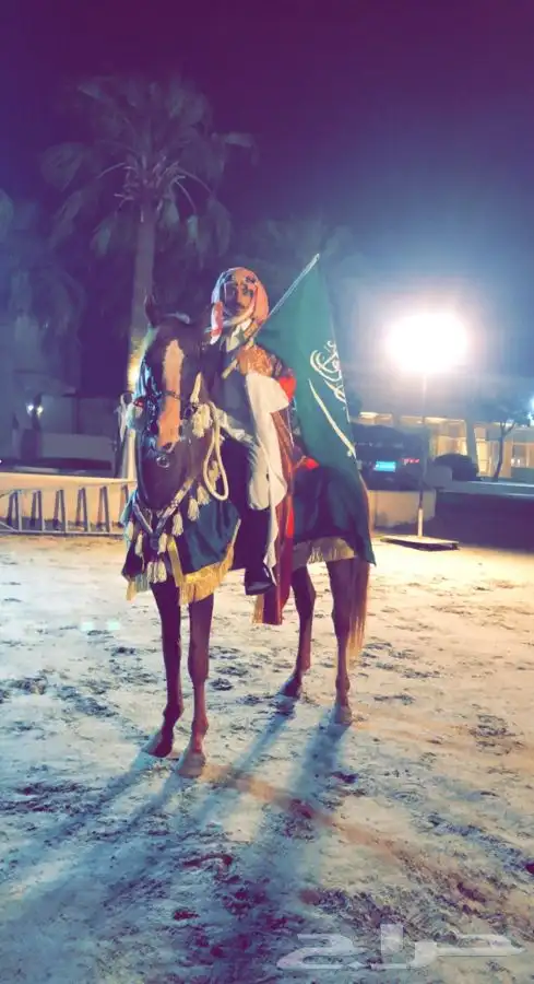 للحفلات والمناسبات والاعياد الميلاد (خيل -سيسي -جمل ) 3