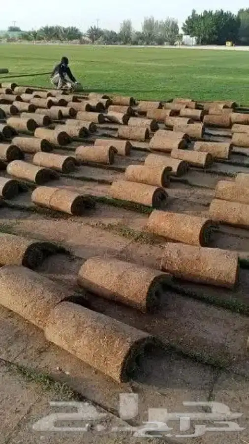 تركيب الثيل الطبيعي وتنسيق الحدائق 2