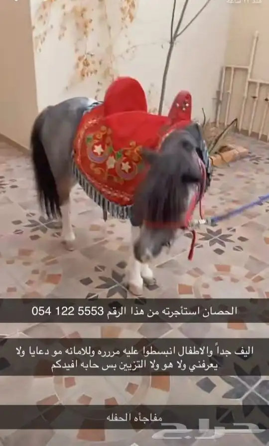 للحفلات والمناسبات والاعياد الميلاد (خيل -سيسي -جمل ) 4