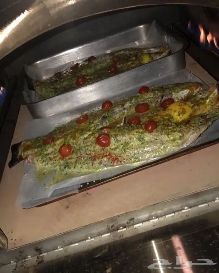 فرن حجر غاز طابونة استيل متحرك 5
