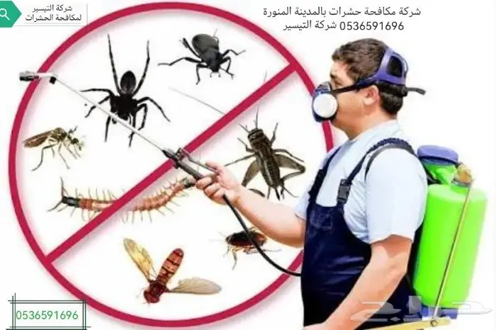 شركة مكافحة البق بالمدينة المنورة 0536591696 5