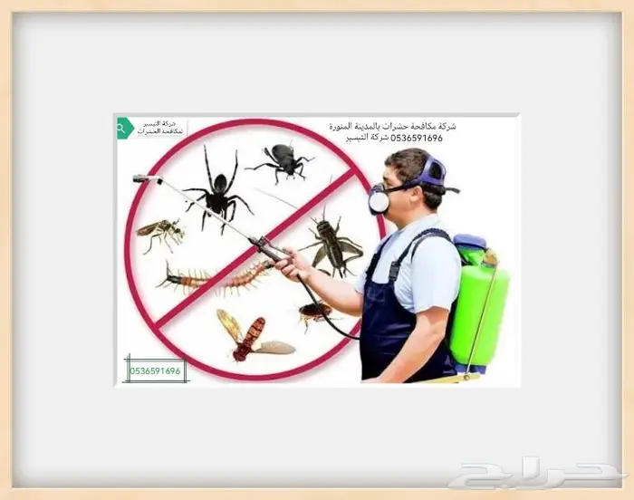 شركة مكافحة البق بالمدينة المنورة 0536591696 0
