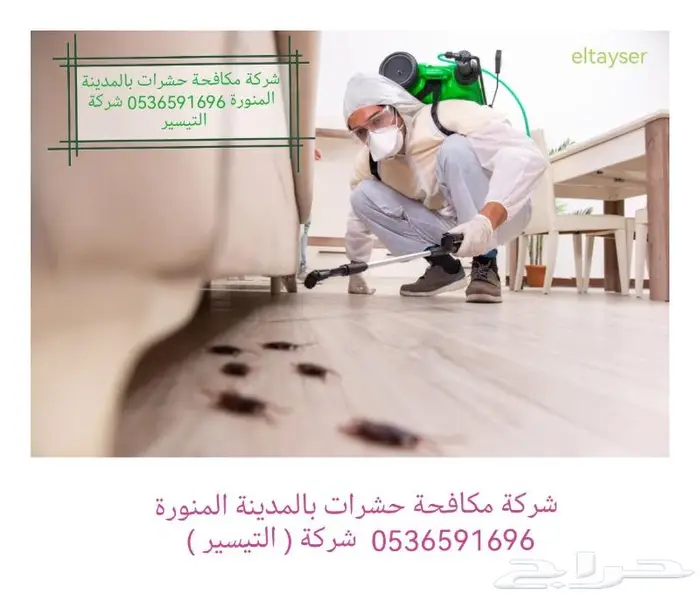 شركة مكافحة البق بالمدينة المنورة 0536591696 4