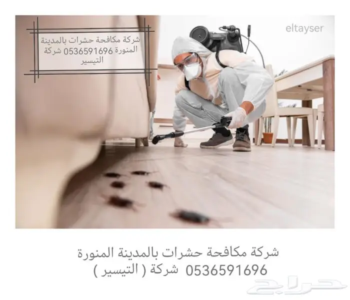 شركة مكافحة البق بالمدينة المنورة 0536591696 2
