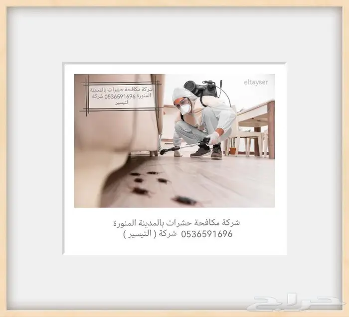 شركة مكافحة البق بالمدينة المنورة 0536591696 1