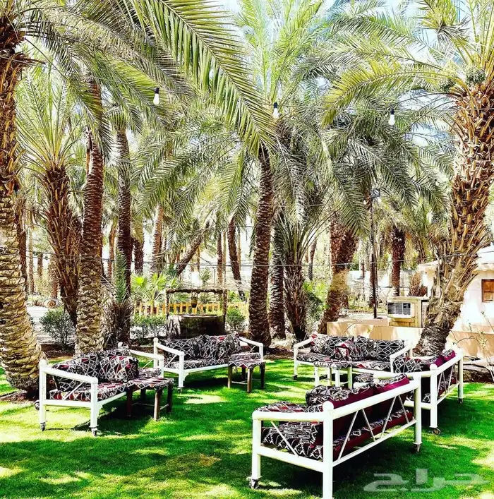 منتجع باسقات بالدرعية 4
