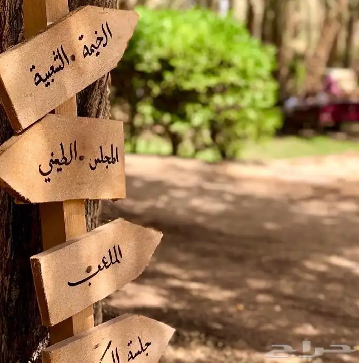منتجع باسقات بالدرعية 13