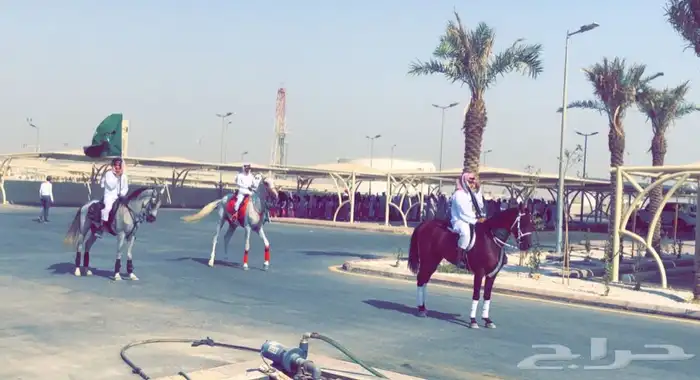 للحفلات والمناسبات والاعياد الميلاد (خيل -سيسي -جمل ) 7