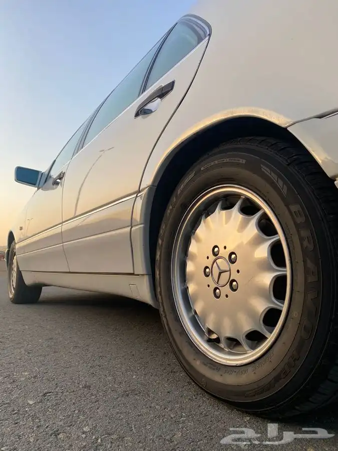تم البيع 29