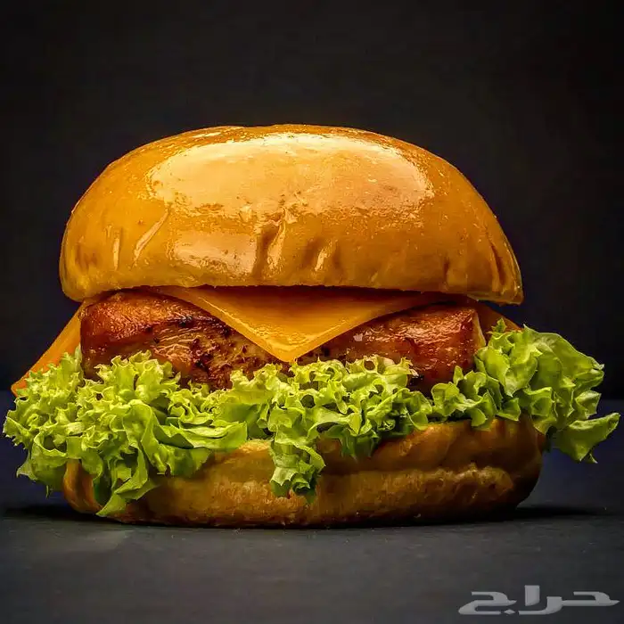 مصور فوتوغرافي 2